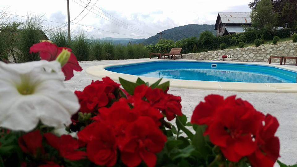 Pensiunea Casa Mircea & Restaurant Ieşelniţa Exteriör bild