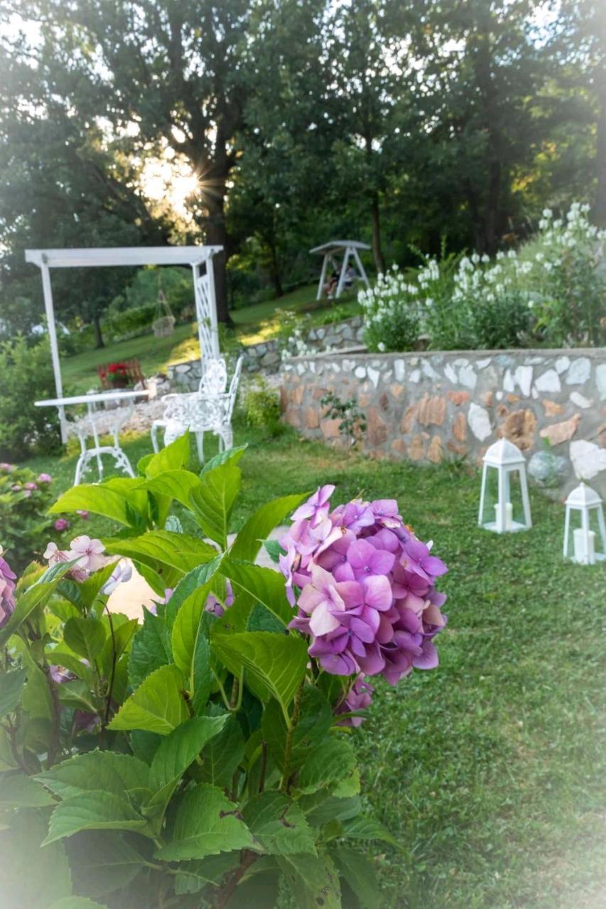 Pensiunea Casa Mircea & Restaurant Ieşelniţa Exteriör bild